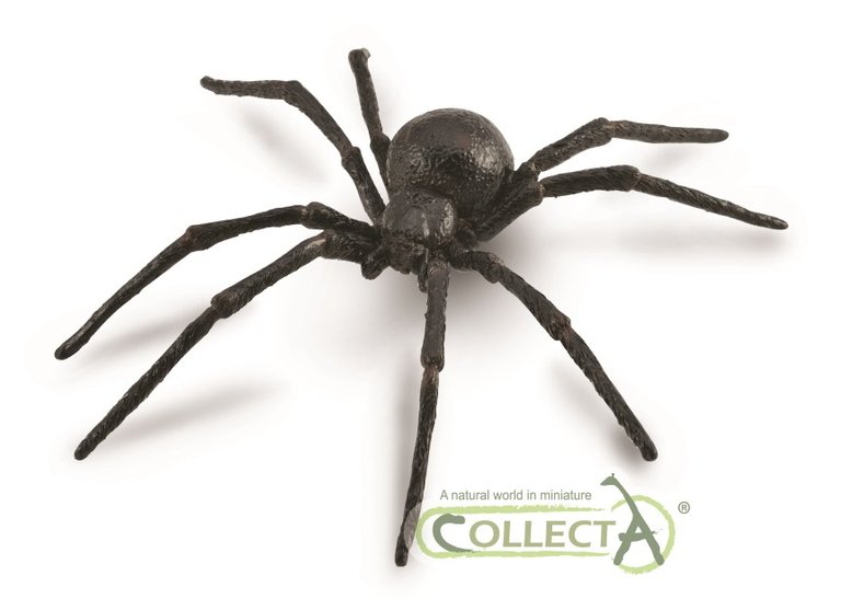88884 - Black Widow Spider.jpg