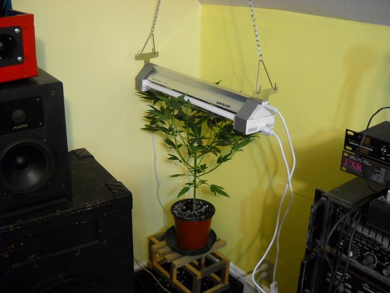 DSCN1031.JPG