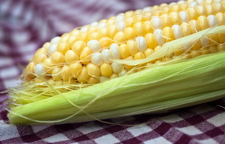 corn.jpg