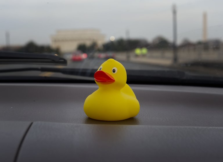 PC040185-ducky.jpg