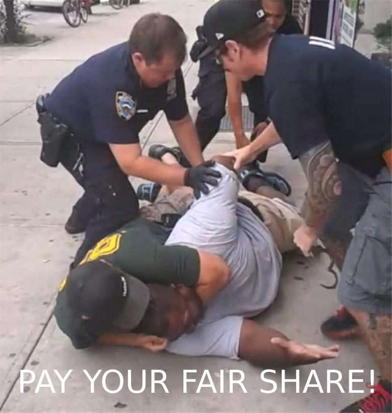 PayYourFairShare.png