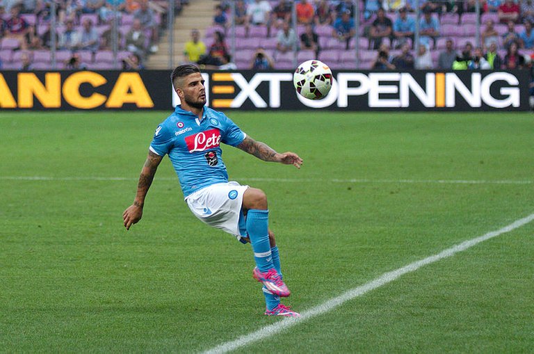 insigne.jpg