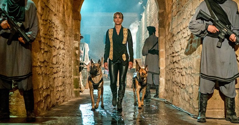 17-john-wick-3-halle-berry-lede.w1200.h630.jpg