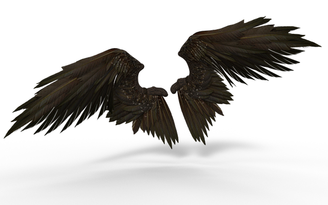 wings-3525077_640.png