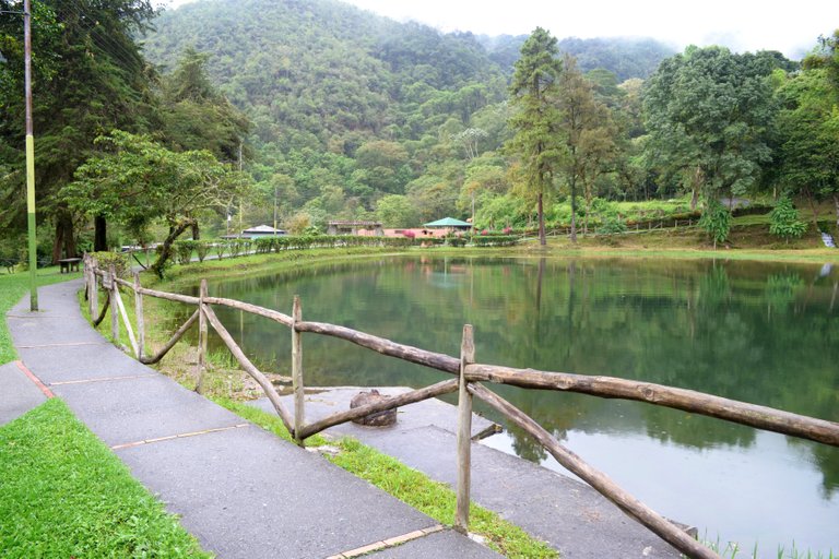 laguna de los cedros.jpg