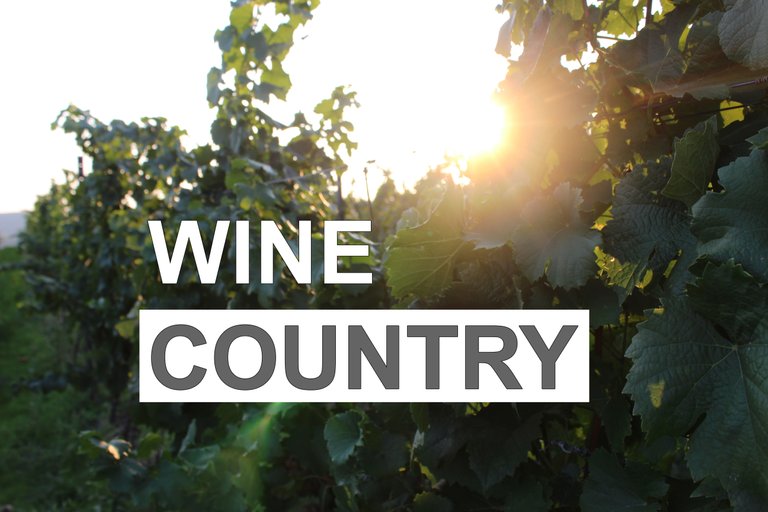 wine_country2.jpg
