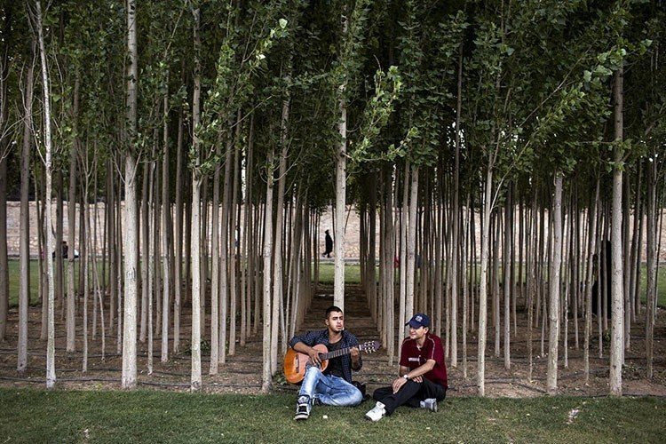 Inside-Iran-Trees.jpg