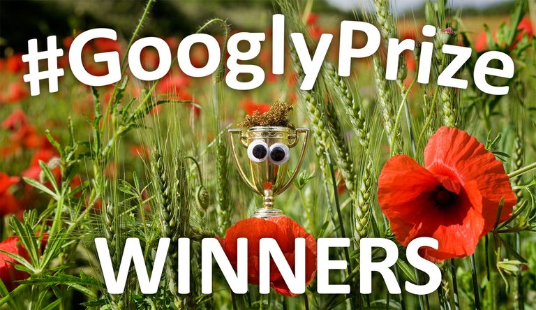 GooglyPrize GooglyEyes TitleImage Vol89