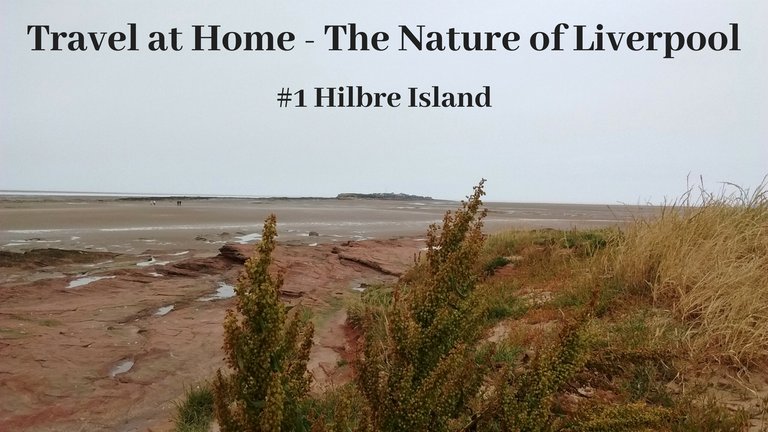 Travel at Home - The Nature of Liverpool.jpg