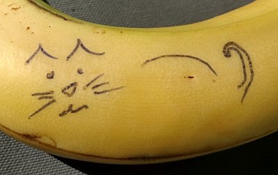 Catnana midsection 400x251.jpg