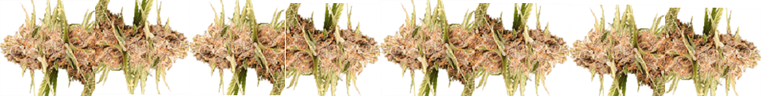 smokeio white bud banner.png