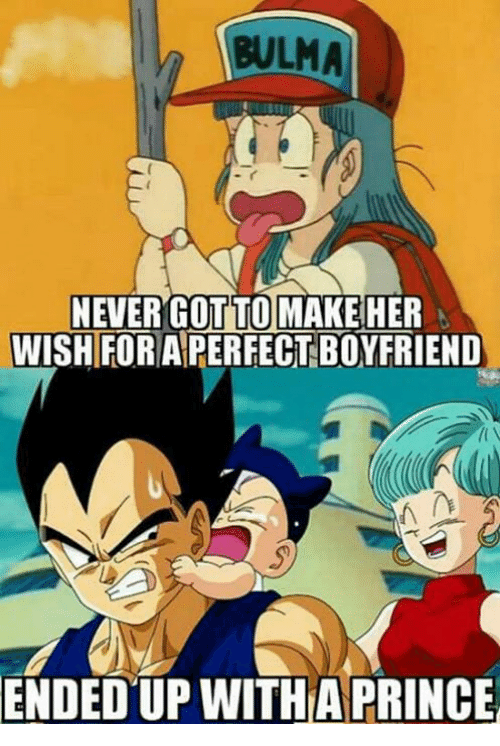 bulma-never-got-to-make-her-wish-for-a-perfect-13394592.png