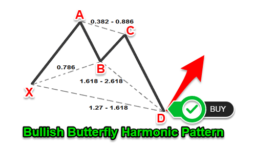 Butterfly-Harmonic-Pattern.png