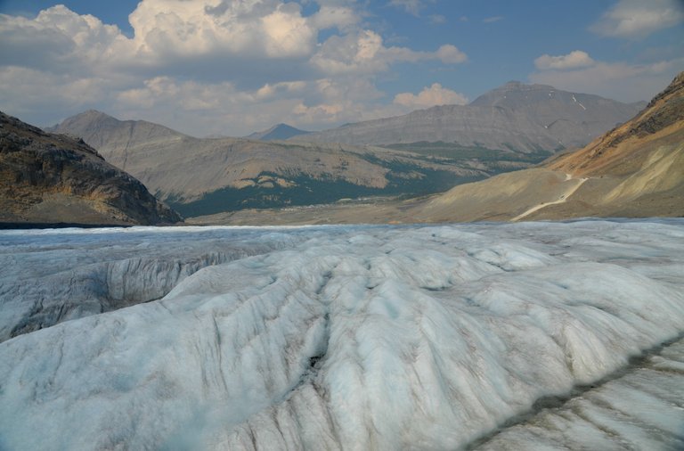 columbia icefields6.jpg