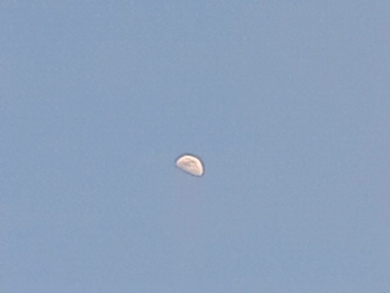20230129_170858.jpg