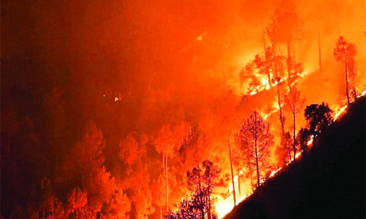 India-forest-fire.jpg