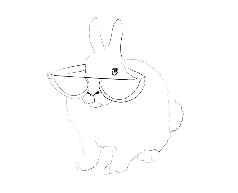 rabbit(458).jpg