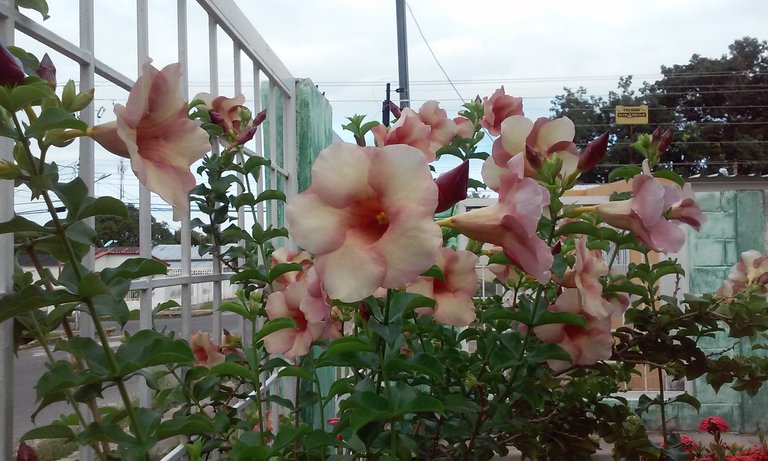20180829_074511.jpg