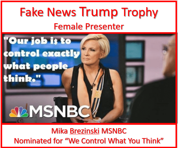 Fake News Mika.png