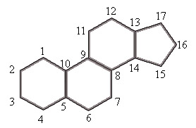 Esteroide.png