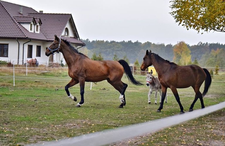 pierwszydzien1.jpg