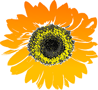 sunflower-147075_640.png