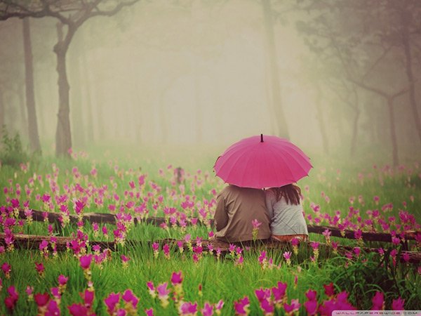 Romantic-Valentines-Day-wallpaper.jpg