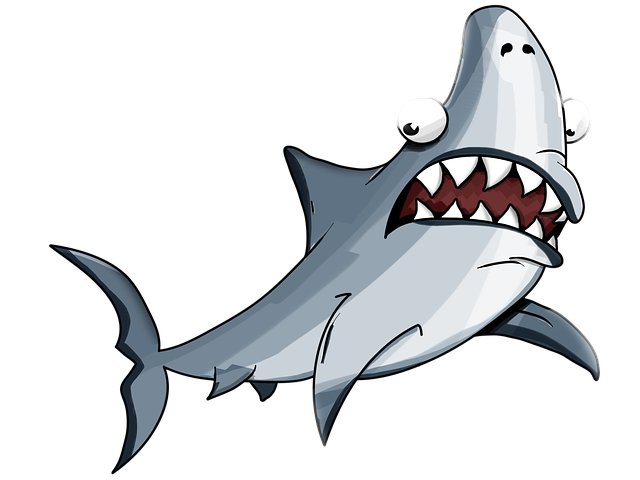 shark-2317422_640.png