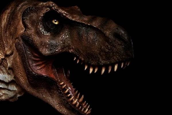 trex-600x400.jpg