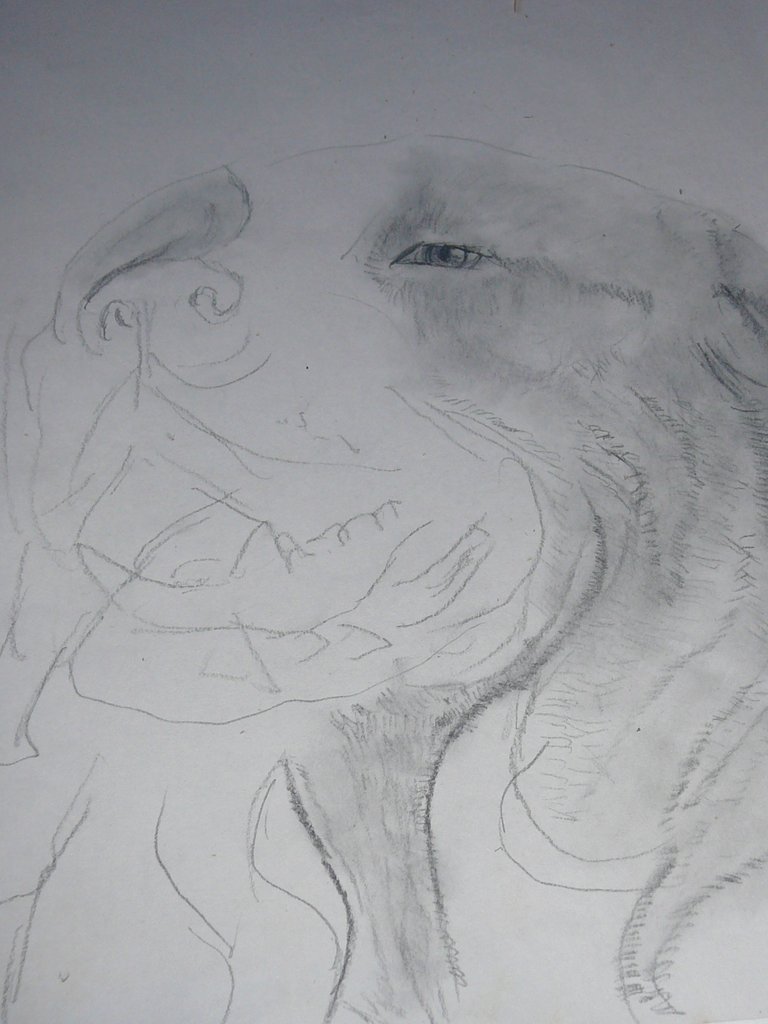 P1100281.JPG