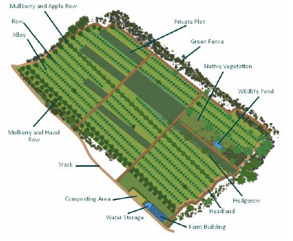 Suhi Dol site overview.jpg