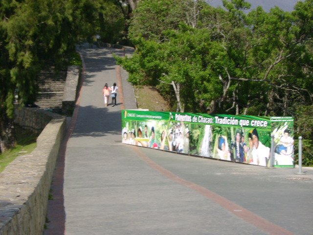 28-camino al humboldt.JPG