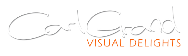 CGVD Logo-new picto-white-orange.png