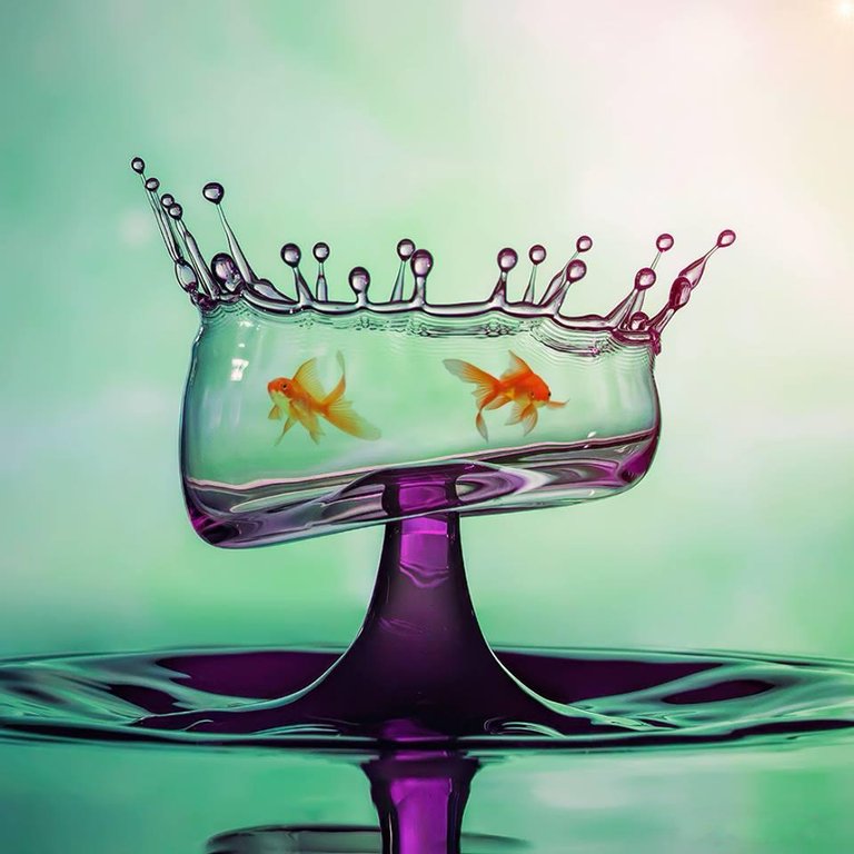 Waterdrop fishtank....jpg