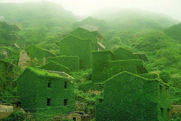 Abandoned fishing village in China overrun by nature.jpg