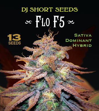 Flo Seed Package.jpg