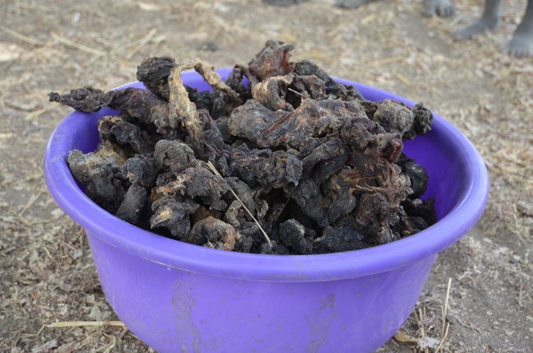 1.8 Dried elephant meat, Chad - Save-elephants.org.jpg