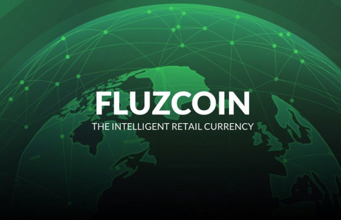 fluzcoin-696x449.jpg