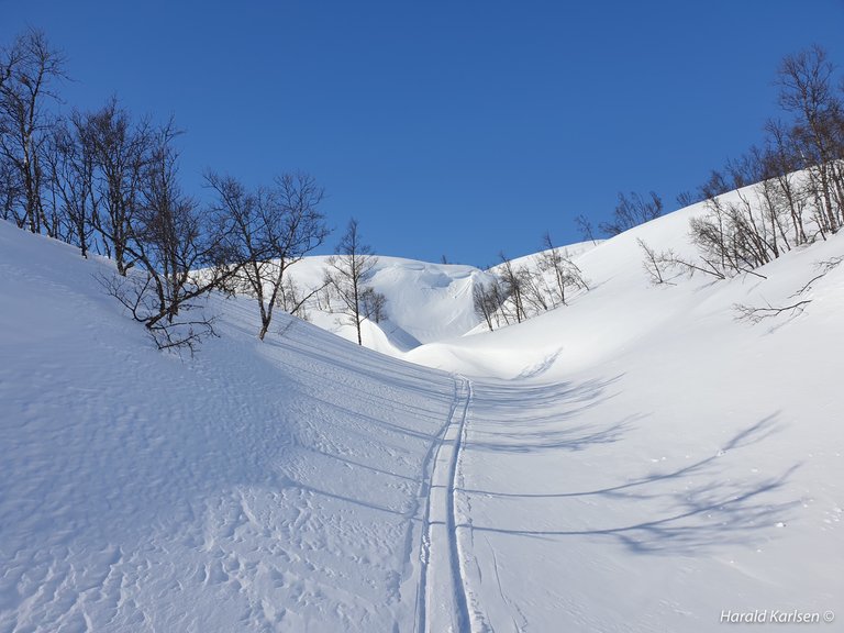 Kopparfjellet.jpg