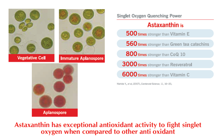 Astaxanthin.png