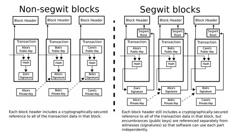 segwit.png