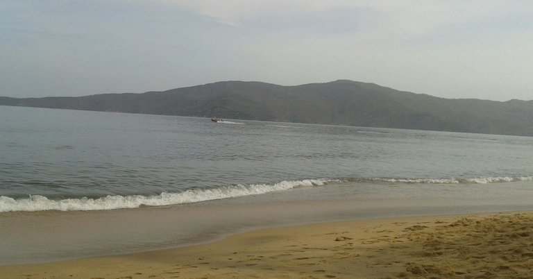 20180331_084619-1.jpg