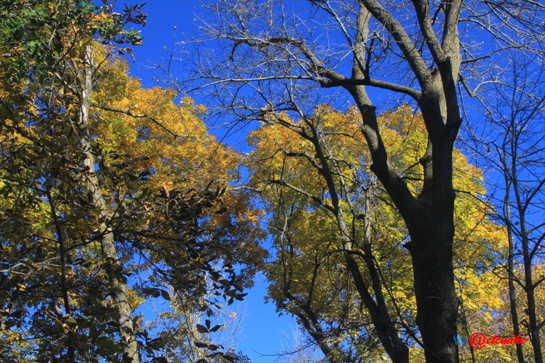 Fall02112.jpg