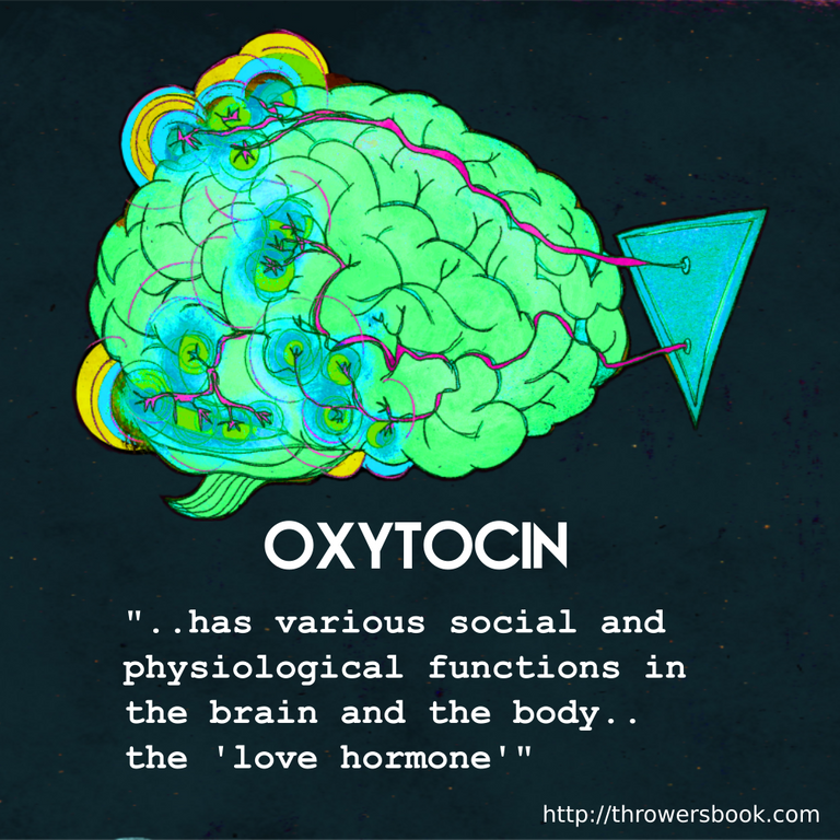 oxytocin-description-throwersbook.png