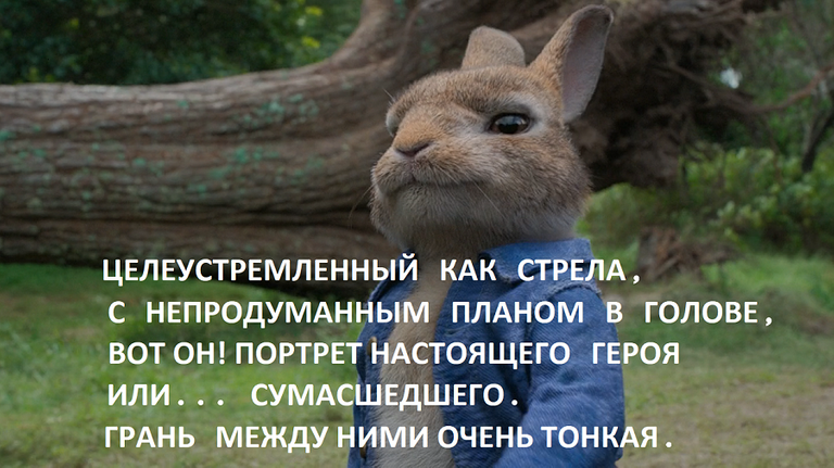 Снимок экрана (12).png