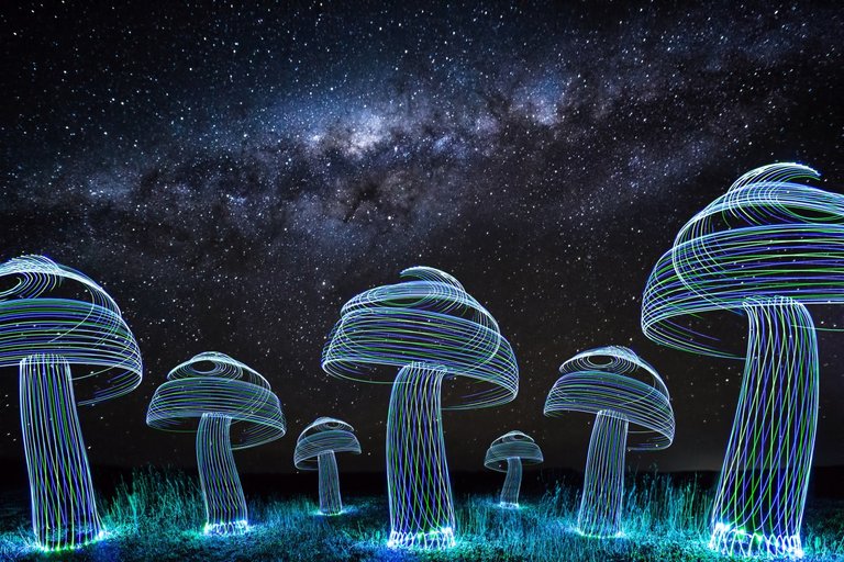 Mushrooms Milky Way_1.jpg