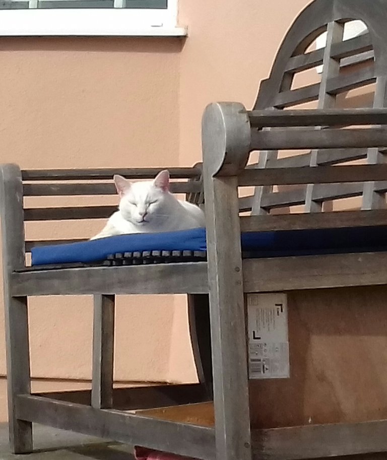 20190223_115852-1.jpg