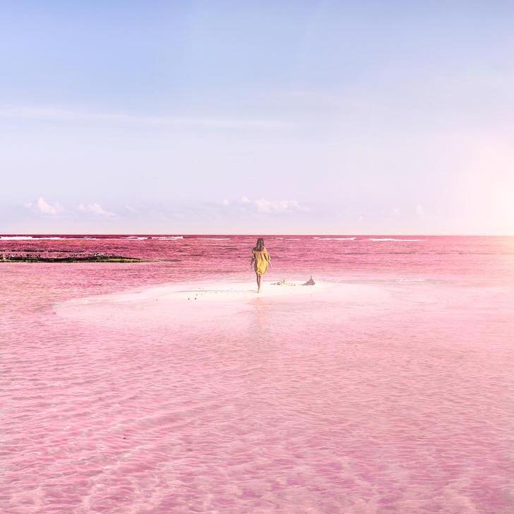 Pink-Lagoon-Las-Coloradas-Yucatan-Mexico-4-1.jpg