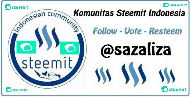 LOGO STEEMIT SAZALIZA.jpg