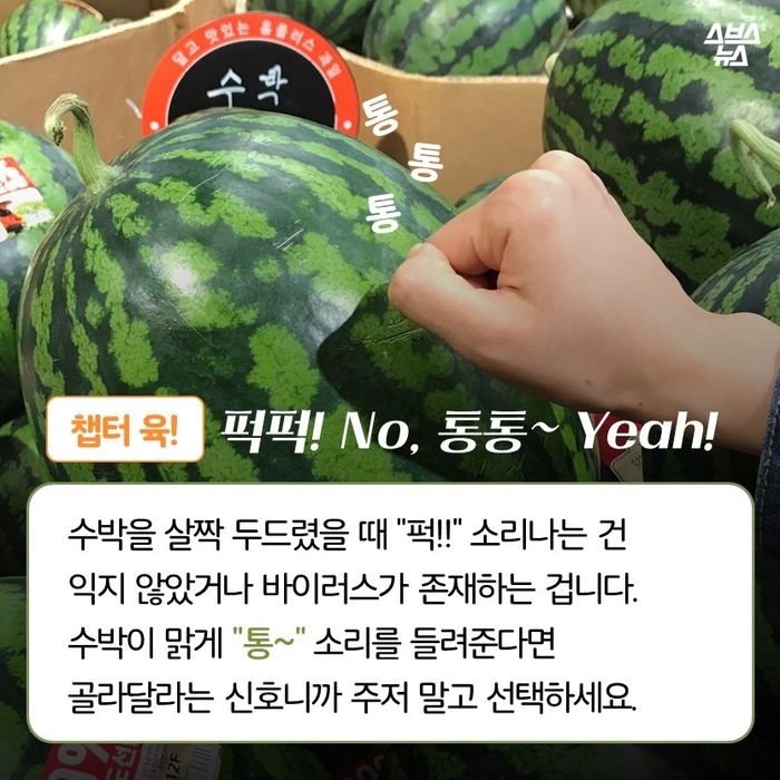 Subak-02.jpg